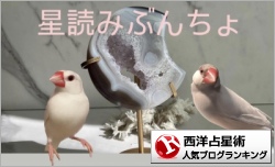 西洋占星術ランキング