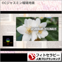 フィトセラピーランキング