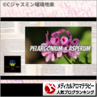 メディカルアロマテラピーランキング