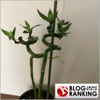 人気ブログランキング