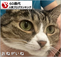 60歳代ランキング
