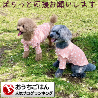 おうちごはんランキング