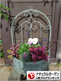 ナチュラルガーデンランキング