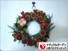 ナチュラルガーデンランキング