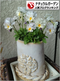 ナチュラルガーデンランキング