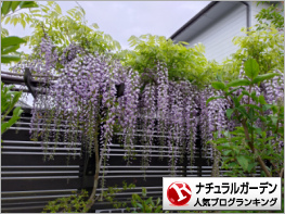 ナチュラルガーデンランキング