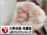 元野良猫・保護猫ランキング