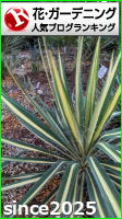 花・ガーデニングランキング