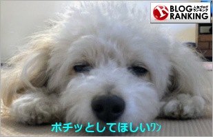 人気ブログランキング