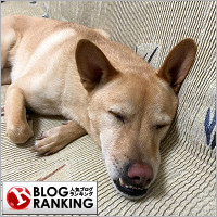 �͵��֥�����󥭥�