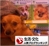 生活・文化ランキング