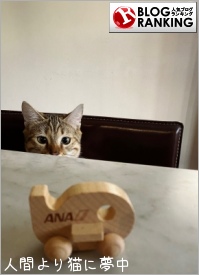 人気ブログランキング