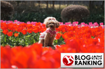 人気ブログランキング