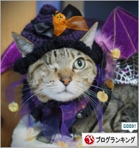 人気ブログランキング