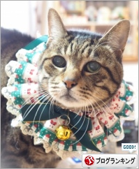 人気ブログランキング