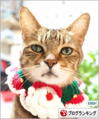 人気ブログランキング