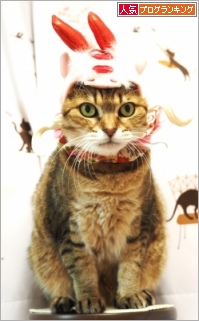 人気ブログランキング