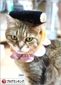 人気ブログランキング