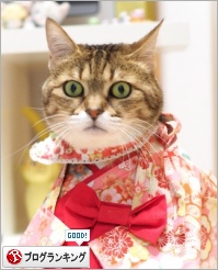 人気ブログランキング