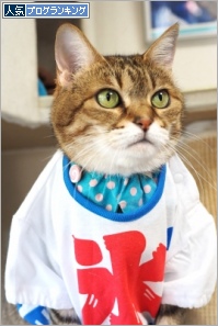 人気ブログランキング