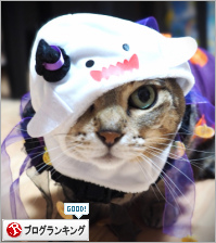 人気ブログランキング