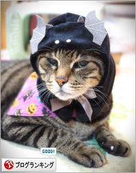 人気ブログランキング