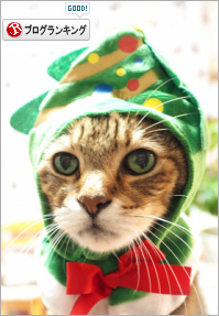 人気ブログランキング