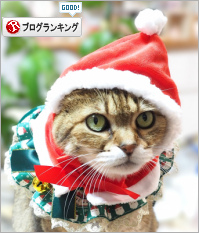 人気ブログランキング