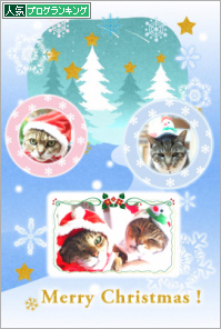 人気ブログランキング