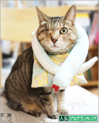 人気ブログランキング