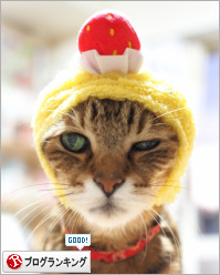 人気ブログランキング