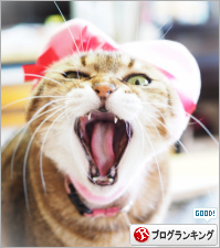 人気ブログランキング