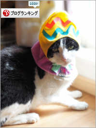 人気ブログランキング