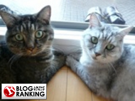 人気ブログランキング