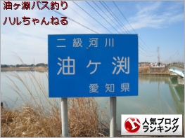 人気ブログランキング