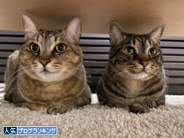 人気ブログランキング